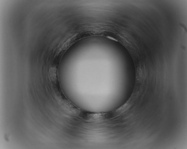 X0000099930184200806061503