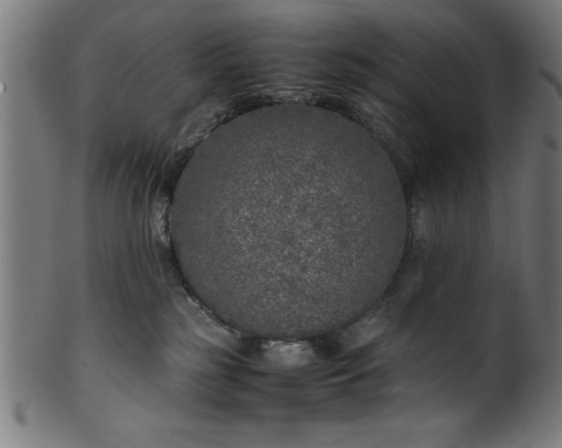 X0000099930185200806061503