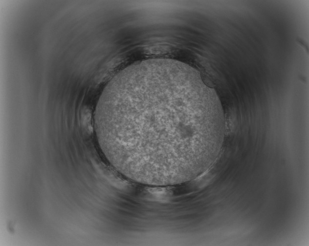 X0000099930187200806061503