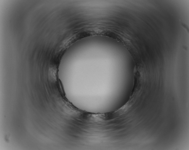 X0000099930188200806061503