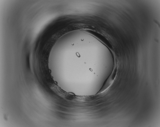 X0000099930190200806061503