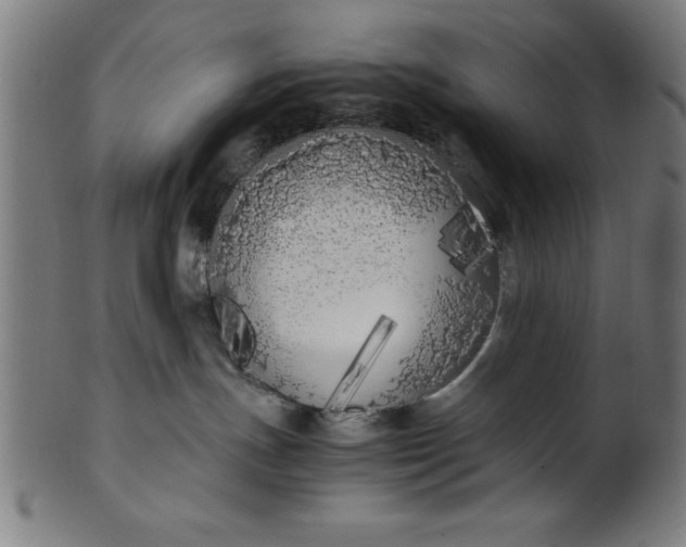 X0000099930191200806061503