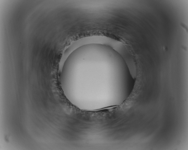 X0000099930192200806061503