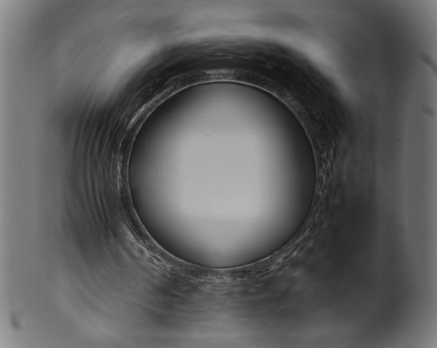 X0000099930194200806061502