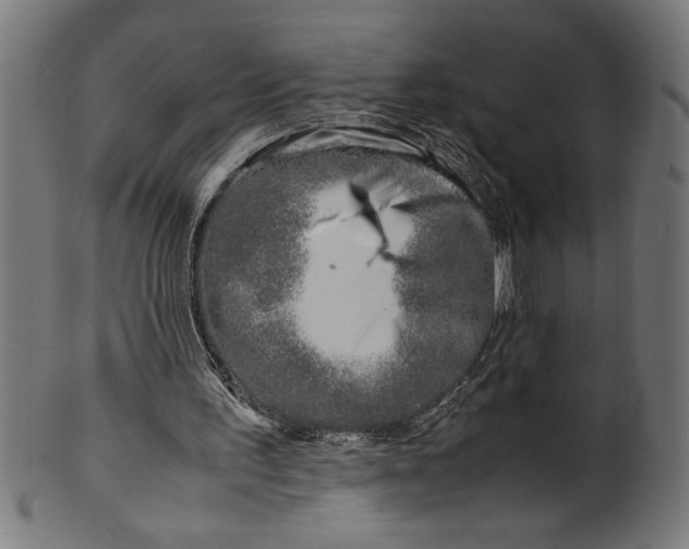 X0000099930195200806061502