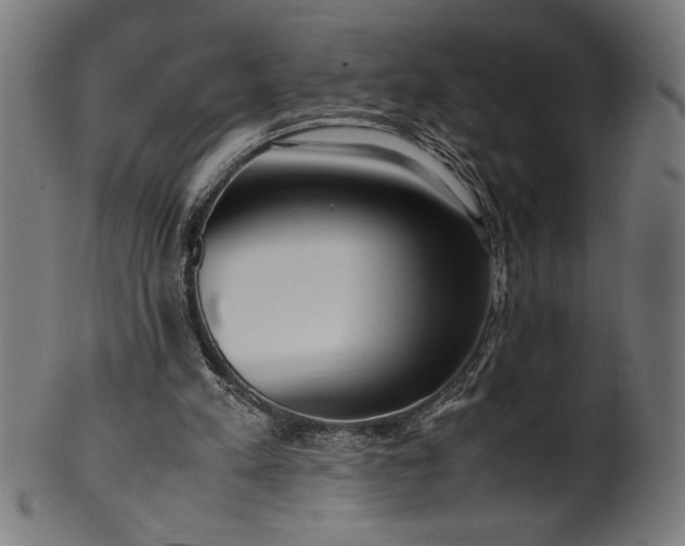 X0000099930197200806061502