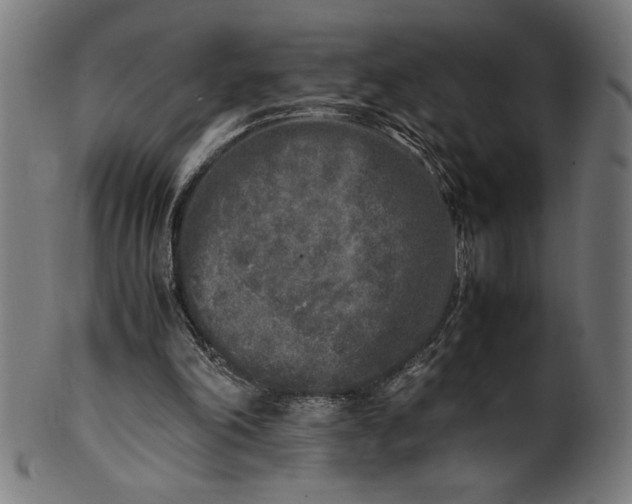 X0000099930198200806061502