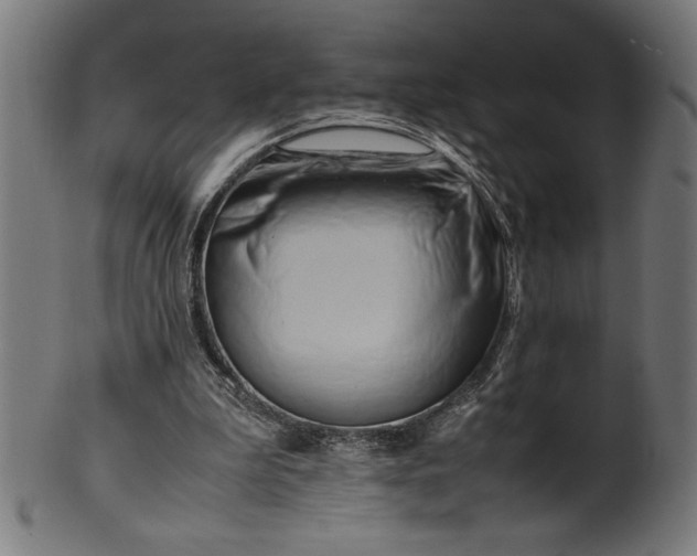 X0000099930199200806061502