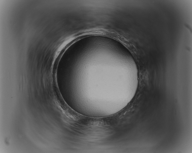 X0000099930200200806061502