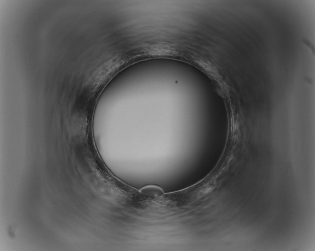 X0000099930201200806061502