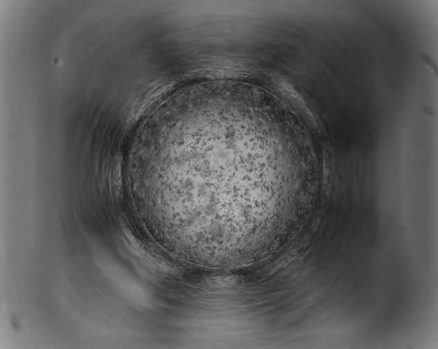 X0000099930202200806061502