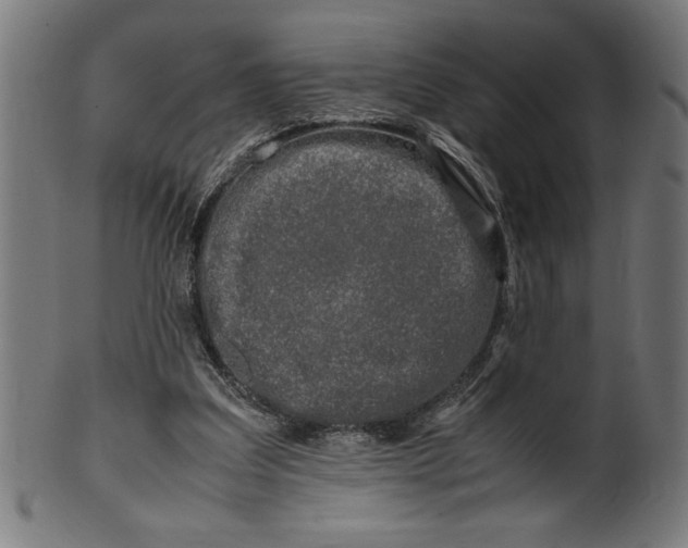 X0000099930203200806061502