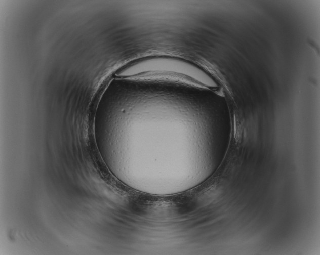 X0000099930204200806061502