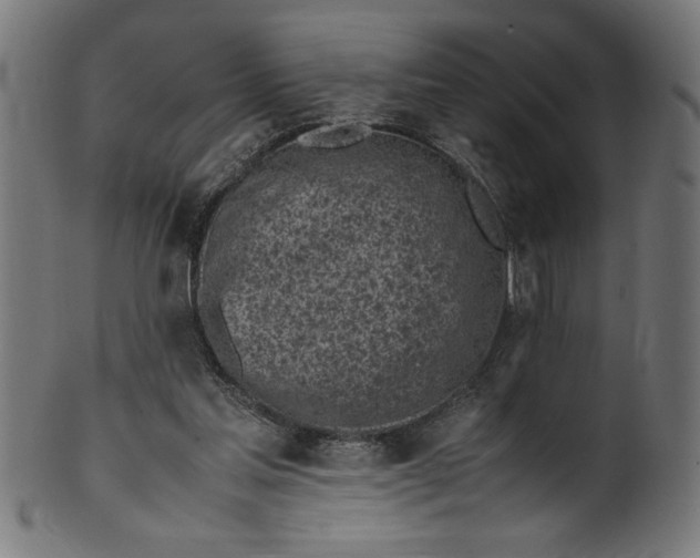 X0000099930205200806061502