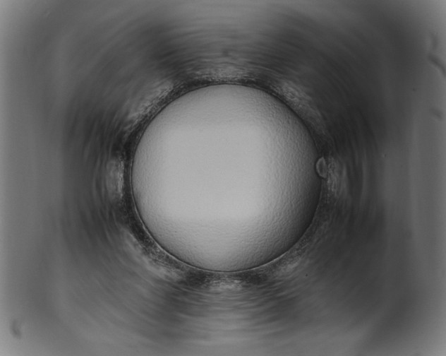 X0000099930206200806061502