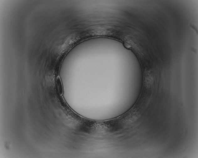 X0000099930207200806061502