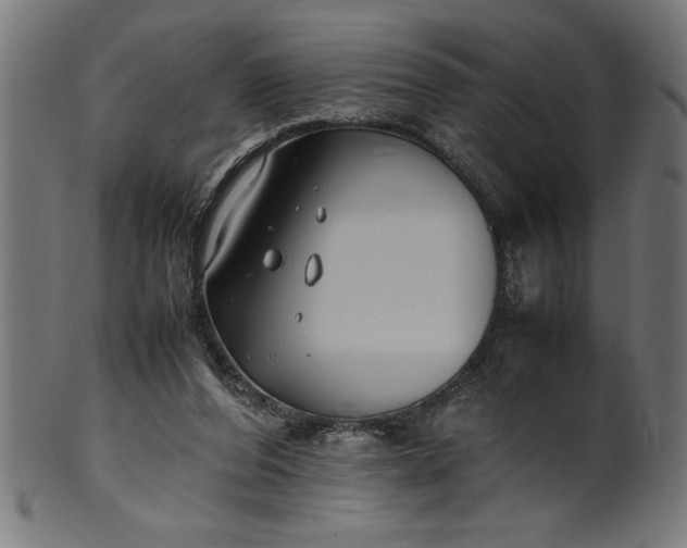 X0000099930208200806061502