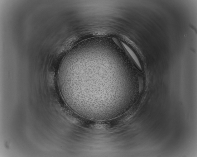 X0000099930209200806061502