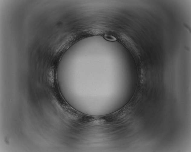 X0000099930210200806061502