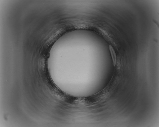 X0000099930211200806061502