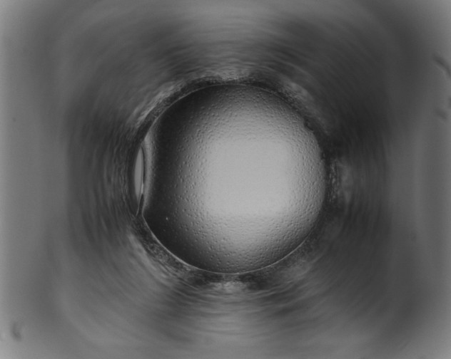 X0000099930212200806061502