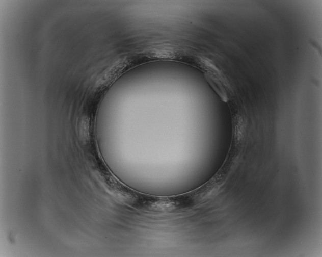 X0000099930213200806061502