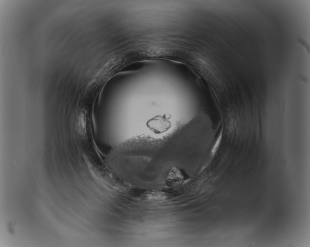 X0000099930214200806061502