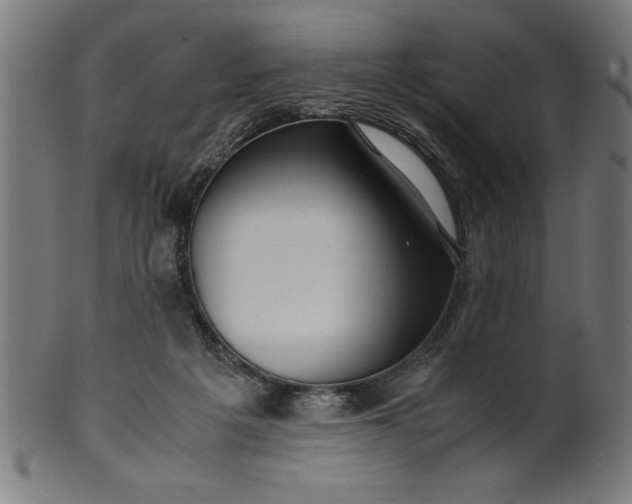 X0000099930217200806061502