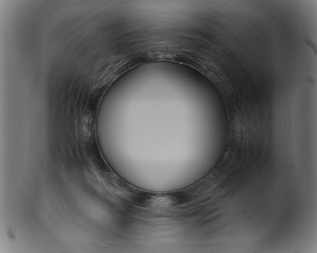 X0000099930218200806061502