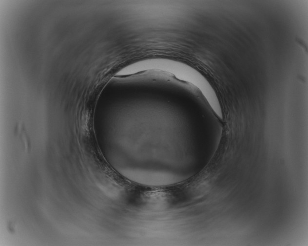 X0000099930219200806061502