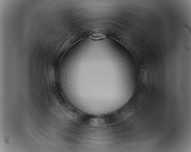 X0000099930220200806061502