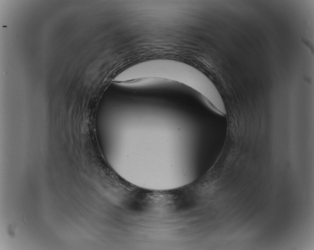 X0000099930221200806061502