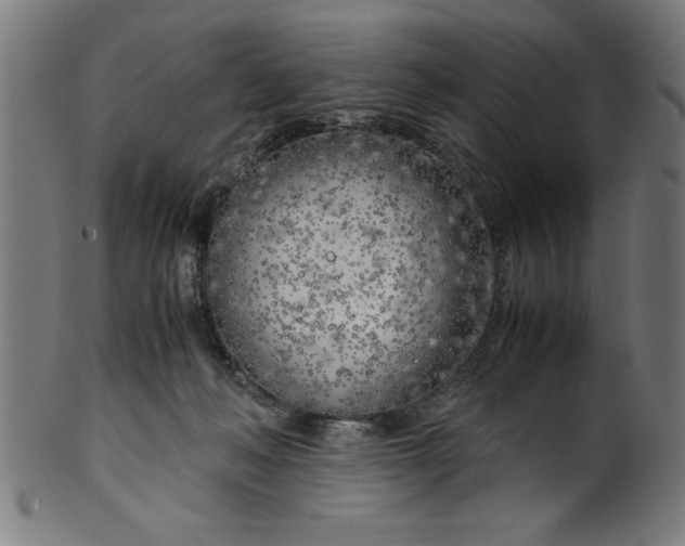 X0000099930222200806061502