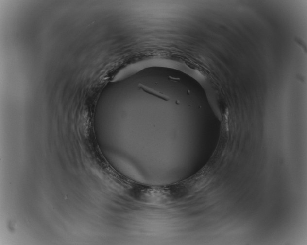 X0000099930223200806061502