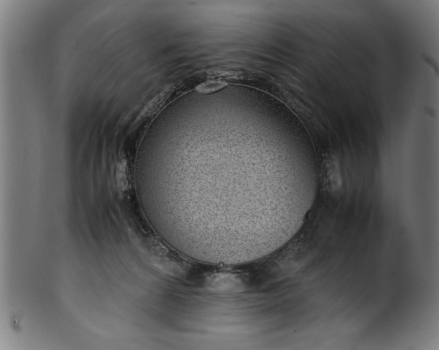 X0000099930224200806061502