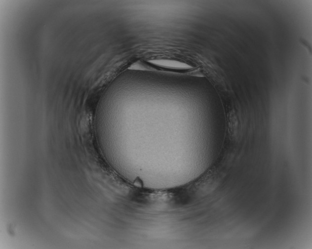 X0000099930225200806061502