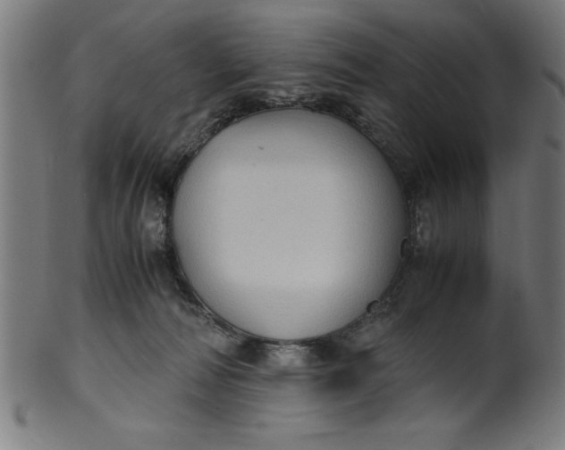 X0000099930226200806061502