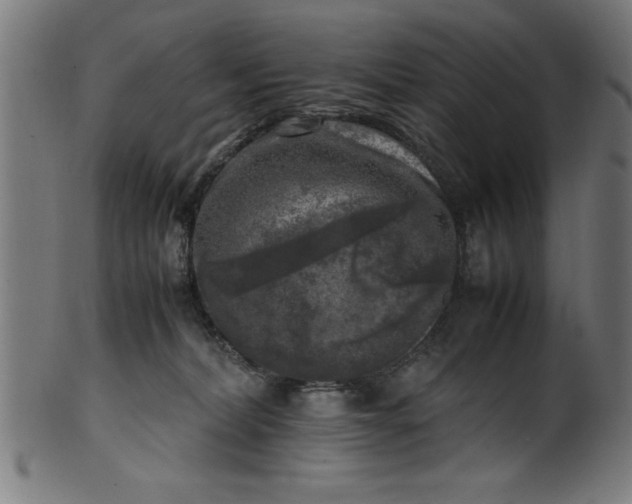 X0000099930228200806061502