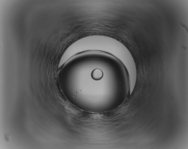 X0000099930233200806061501