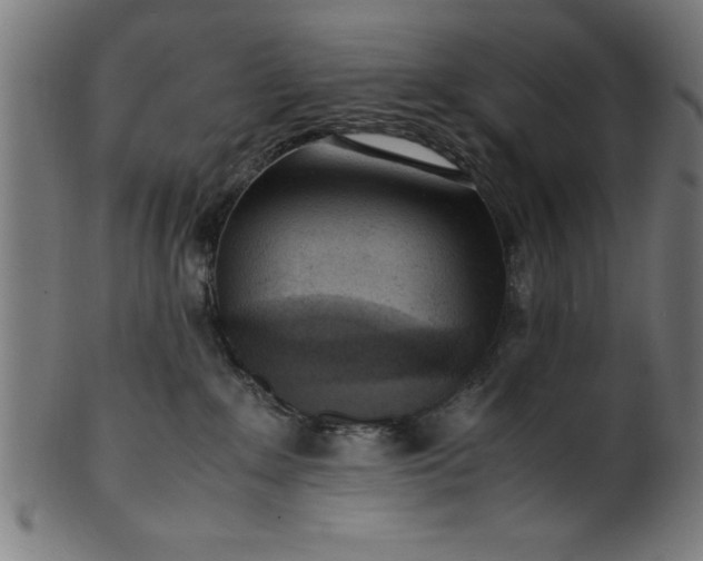 X0000099930235200806061501