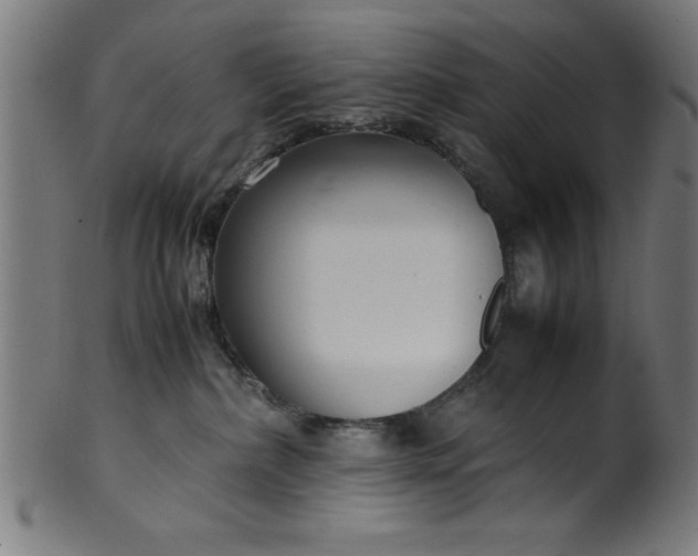 X0000099930236200806061501