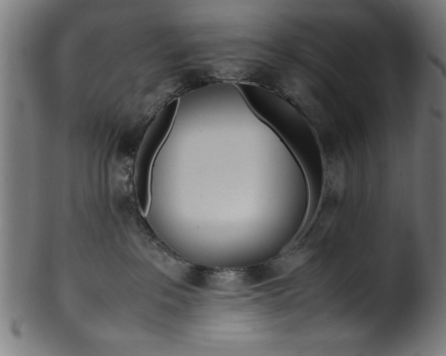 X0000099930237200806061501