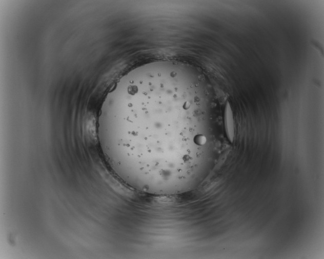 X0000099930238200806061501