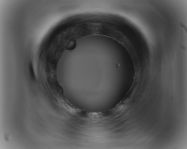 X0000099930239200806061501