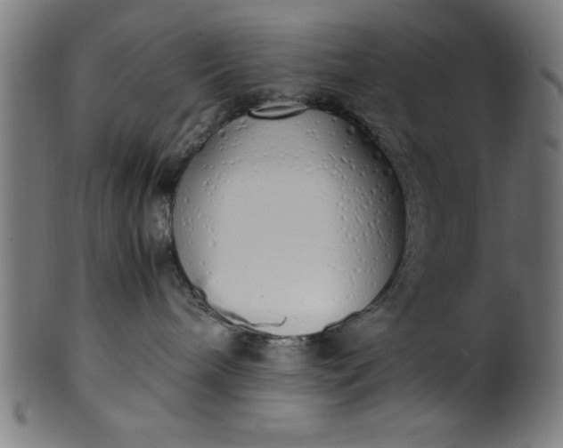 X0000099930240200806061501