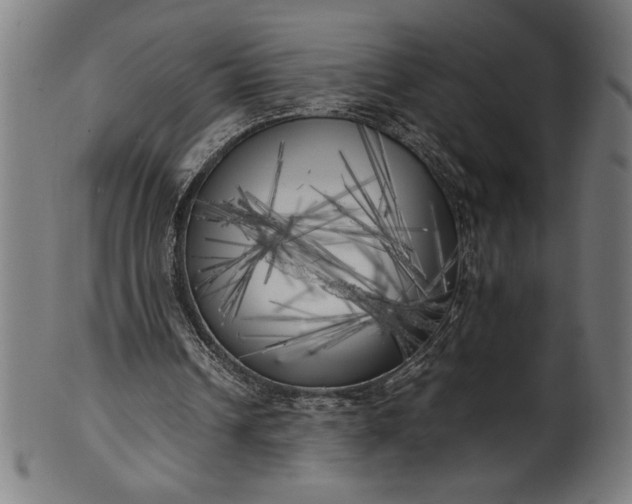 X0000099930242200806061501