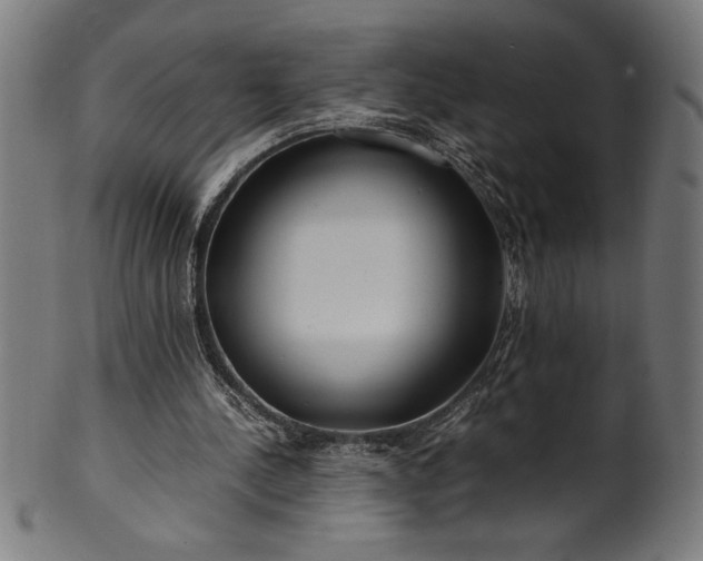 X0000099930244200806061501