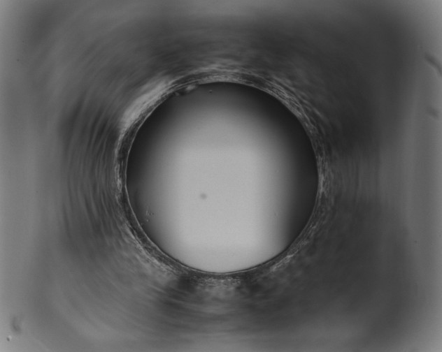 X0000099930245200806061501