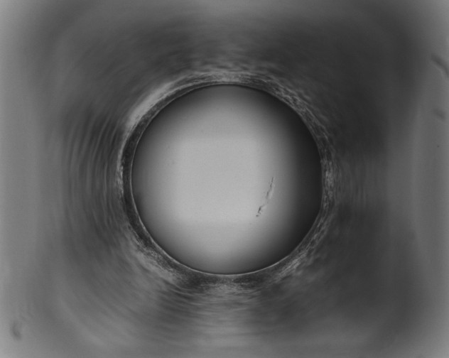 X0000099930246200806061501