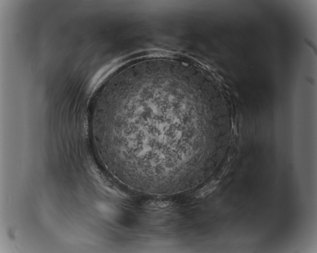 X0000099930247200806061501